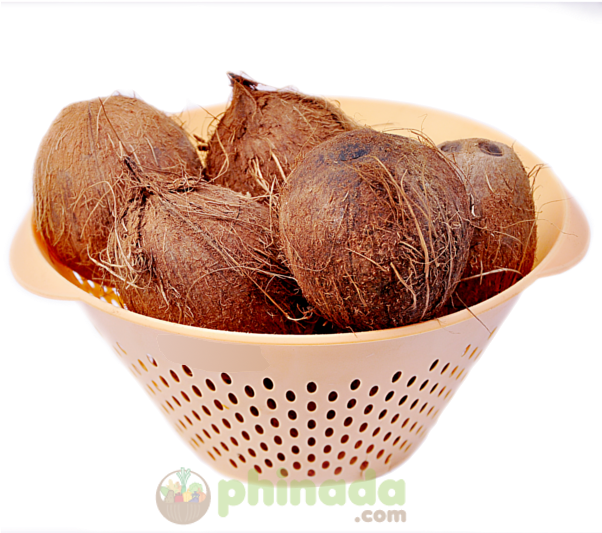 Coconut - Beet (601x601), Png Download