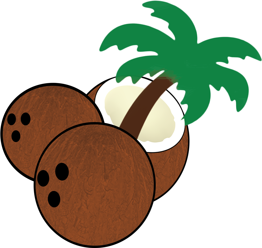 South Florida Coconuts - Florida (900x900), Png Download
