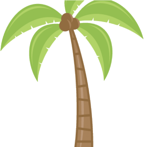 Download Palm Tree Clipart Borders - Cartoon Palm Tree Transparent PNG  Image with No Background 
