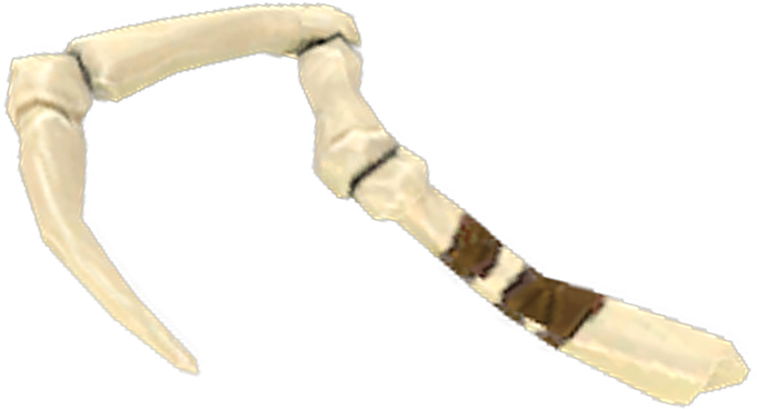 Prize (746x449), Png Download