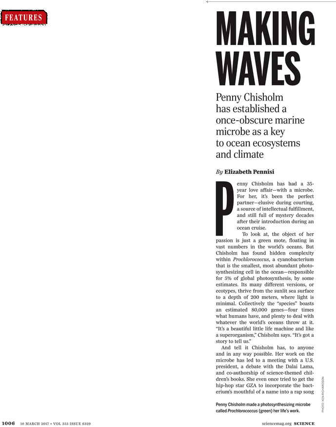 What - Steven Avery (729x929), Png Download