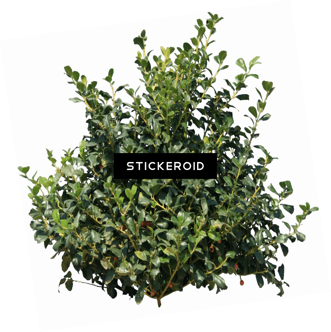 Lebron James Red - Bush Png (1155x1156), Png Download