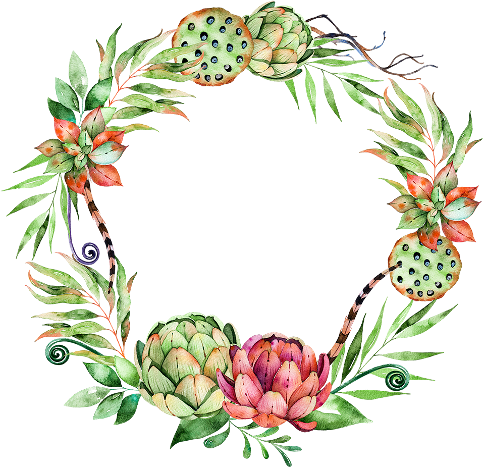 Svg Library Stock Flower Plant Wreath Illustration - Succulent Watercolor Free Png (1000x972), Png Download