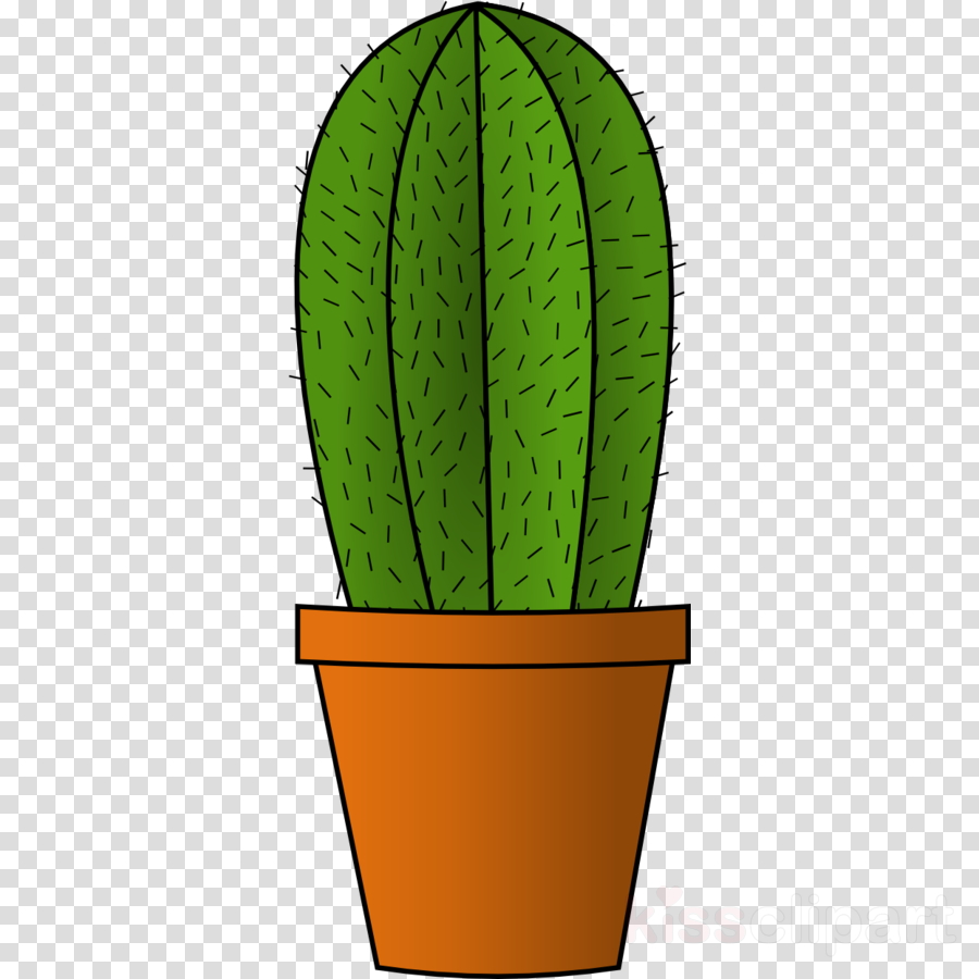 Cactus Plant Clipart Cactus Succulent Plant Clip Art (900x900), Png Download