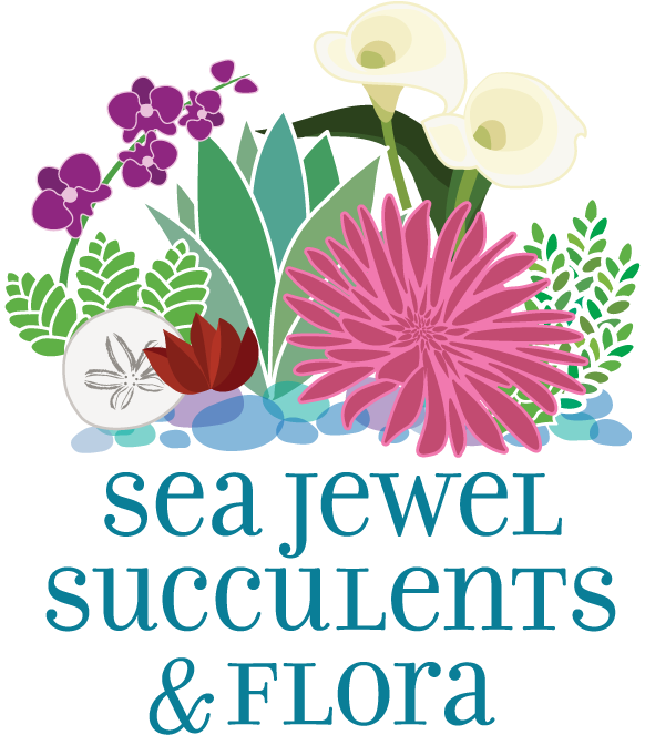 Sea Jewel Succulents & Flora - Design (800x800), Png Download