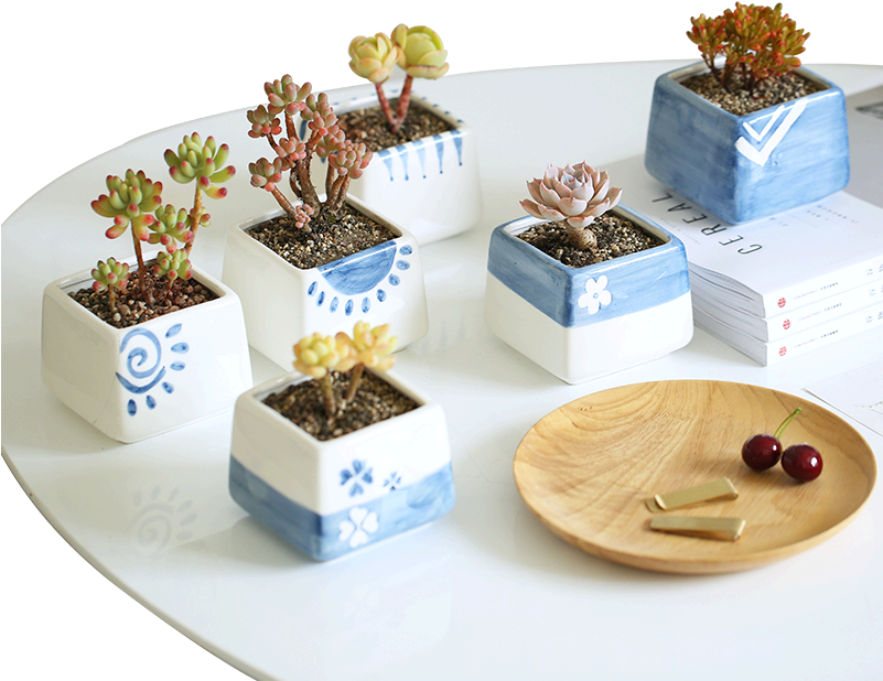 Decorative Black French Dog Resin Cactus Pot - Succulent Plant (800x800), Png Download