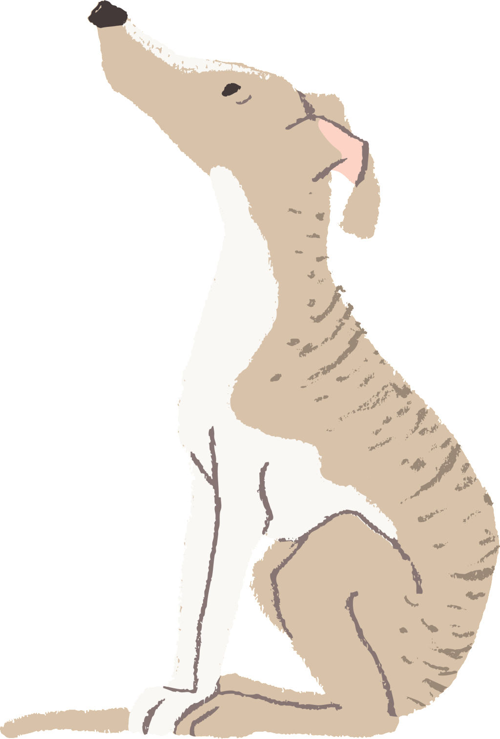 El Dibujado A Mano Perro Mascota Es Gratis Desde El (1024x1515), Png Download