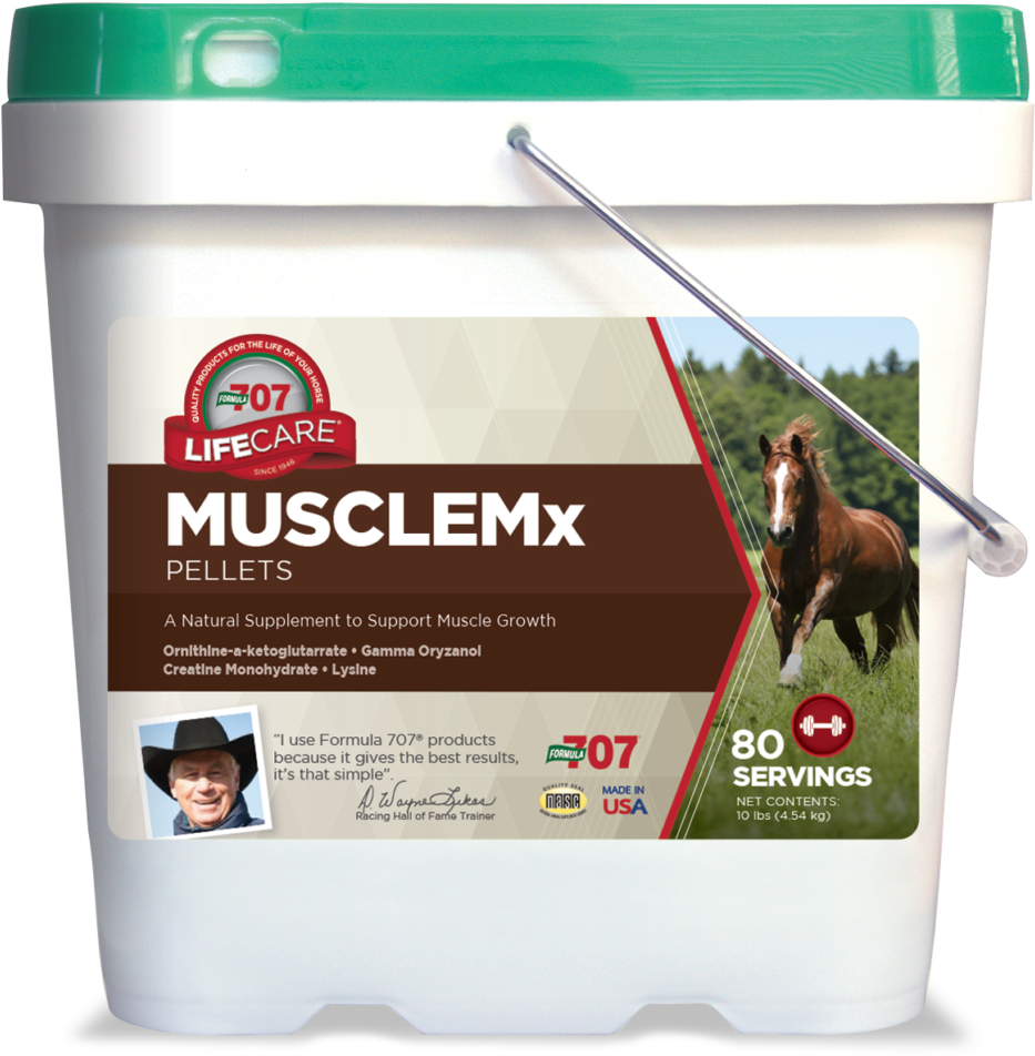 Lifecare Musclemx 10lb - Formula 707 Musclemx Daily Fresh Packs (985x1024), Png Download