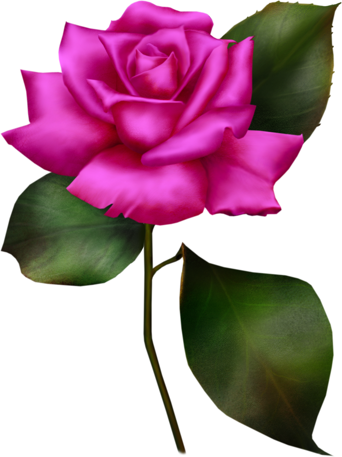 Pink-rose 3 003 - Psd (1127x1507), Png Download
