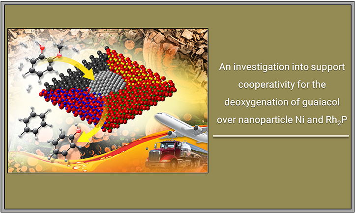 Illustration Labeled On The Right Side, An Investigation - Guaiacol (1170x434), Png Download