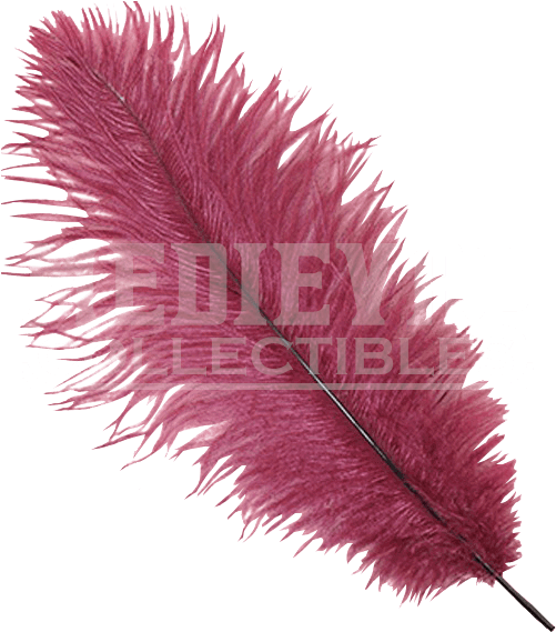 Burgundy Feather Plume Op - Pink Ostrich Feather Png (568x568), Png Download
