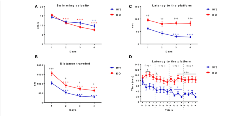 Shows The Swimming Velocity (cm/sec) Of Wt (blue - Morris Water Maze Swimming Velocity (850x394), Png Download