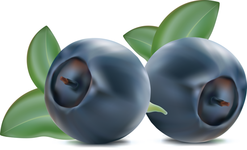Blueberries Png, Download Png Image With Transparent - Clipart Blueberries Png (800x486), Png Download