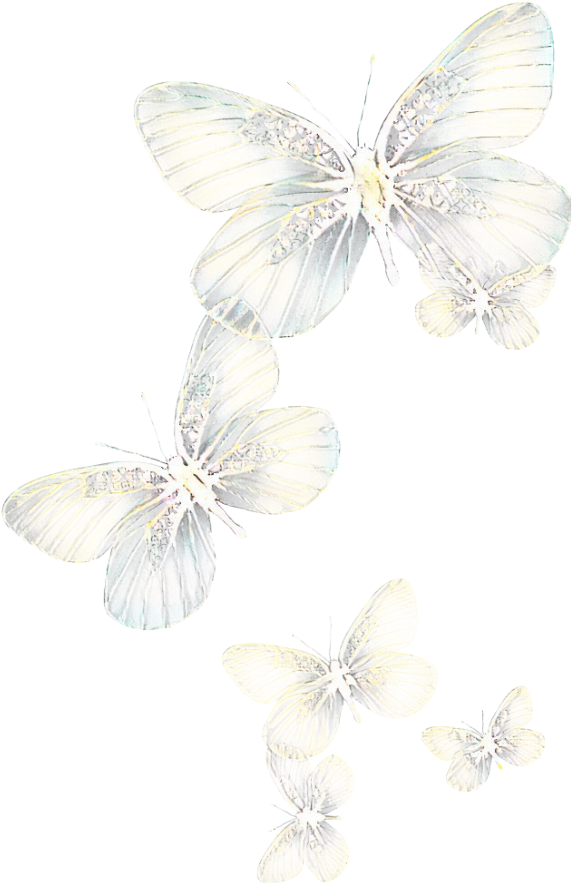 Ftestickers Butterflies Light Glowing - Light (1024x1024), Png Download