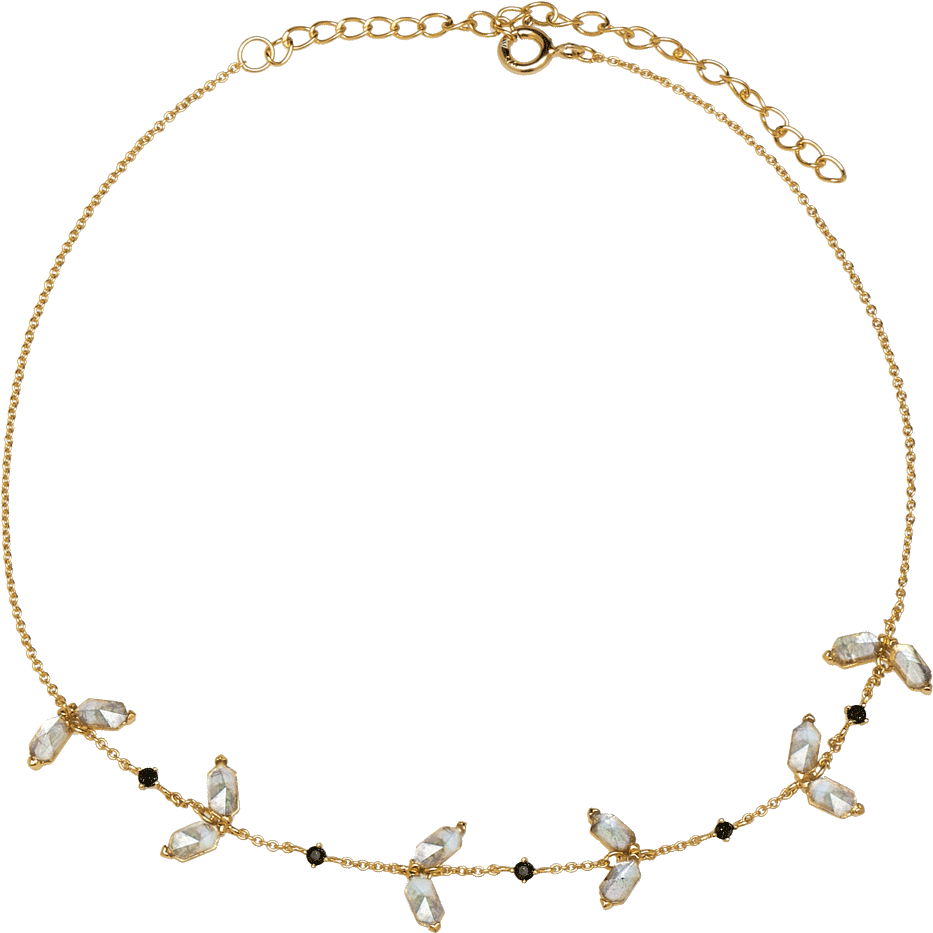 Stardust Gold Necklace - Collier Ras De Cou (1000x1000), Png Download