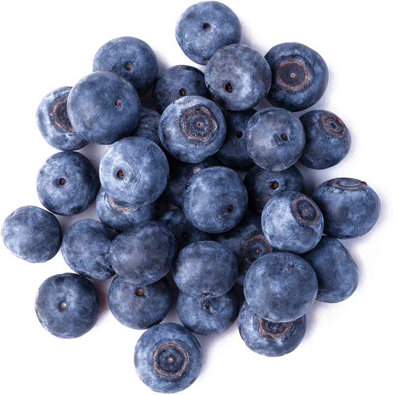 Bilberry - Wellness (1000x1000), Png Download