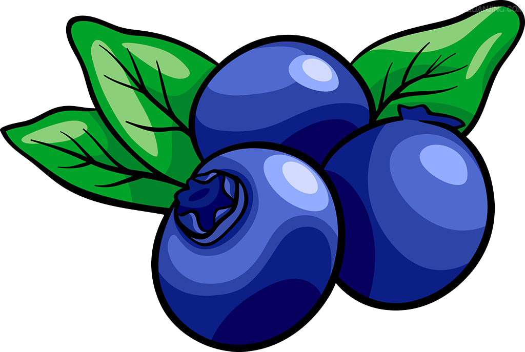 Blueberry Clipart Png Clip Art Royalty Free Download Blueberries Clip