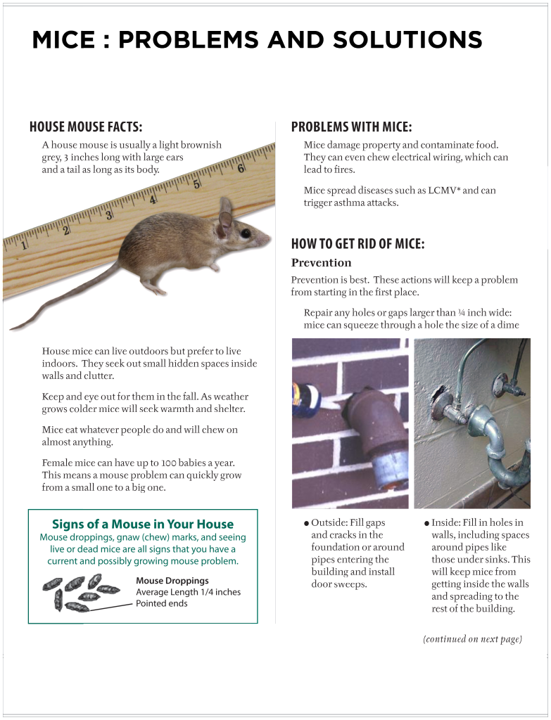 Mice Prevention And Solutions - Salford (783x1024), Png Download