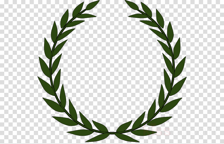 Download Laurel Leaves Png Clipart Bay Laurel Laurel Wreath Black And White Vines Clipart Png Image With No Background Pngkey Com
