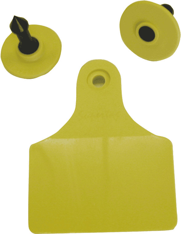 Ketchum Printing And All-weather Tag Marker Is Highly (750x862), Png Download