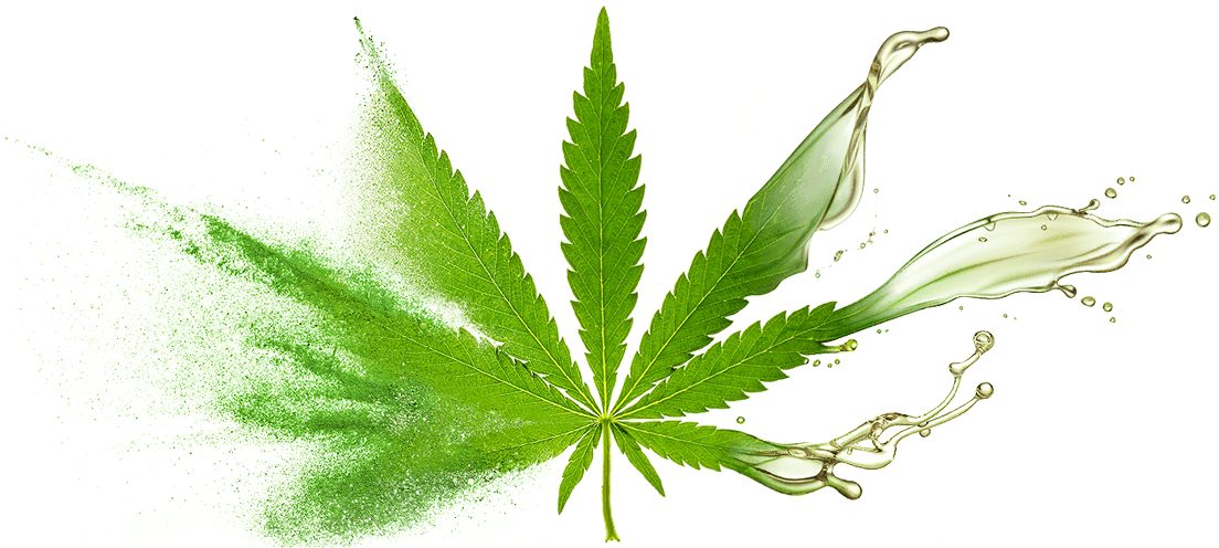 Bulk Supply & Manufacture Of Cbd Oil & Oil Powders - Marijuana Leaf (1476x529), Png Download