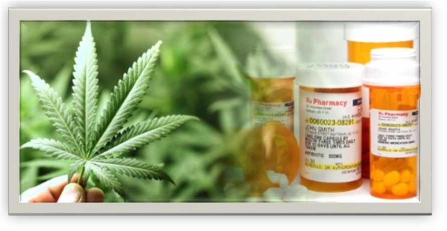 New On-line Cannabis Workplace Safety Course - Guide To Growing Your Own Marijuana (901x472), Png Download