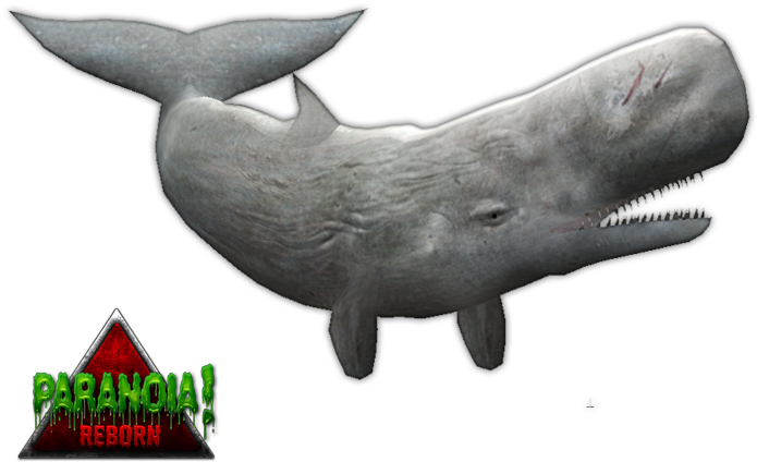 Download Moby Dick Zt2downloadlibrary Whale Png Image With No Background Pngkey Com
