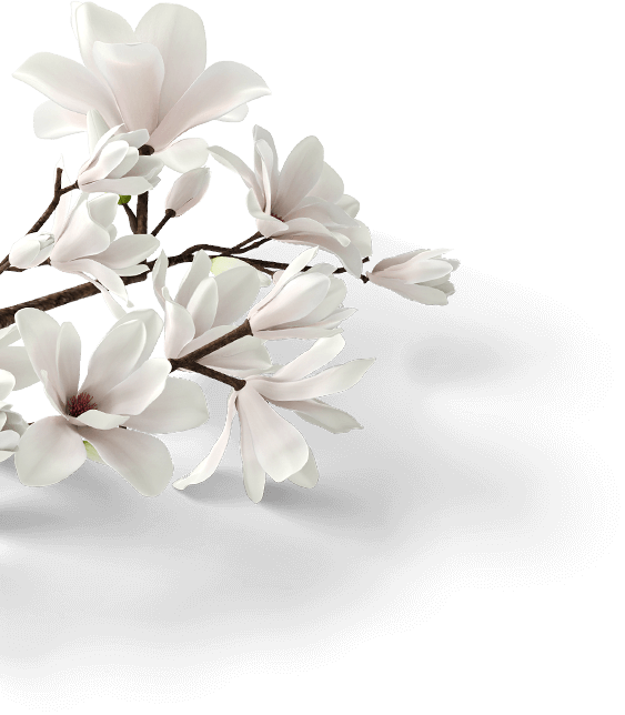 Read All - “ - Artificial Flower (563x644), Png Download
