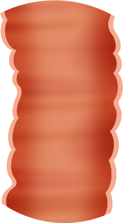 Stem Cells - Stairs (421x863), Png Download