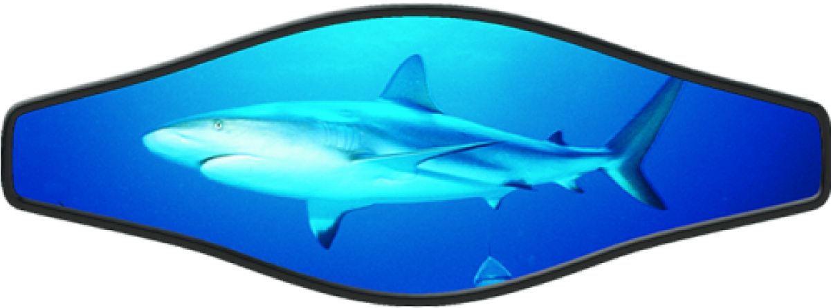 Slap Strap - Live Shark - Strap Wrapper Live Shark (1200x1200), Png Download