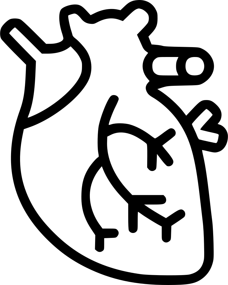Banner Freeuse Library Cardiac Muscle Png Icon Free - Clipart White And Black Cardiac Muscle (784x980), Png Download