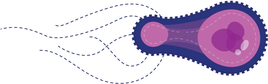 Virus 2-02 (1000x516), Png Download