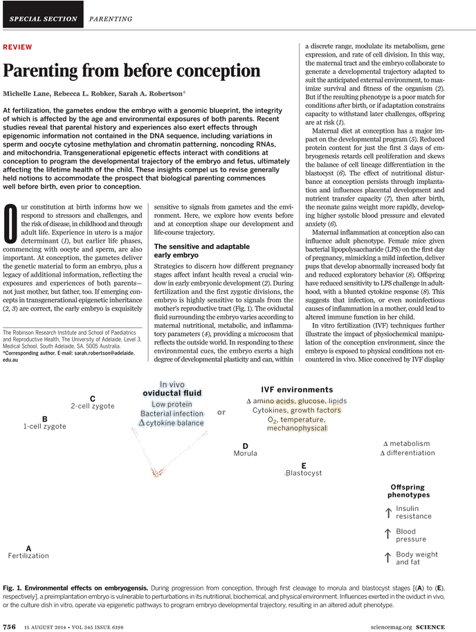 Document (729x929), Png Download