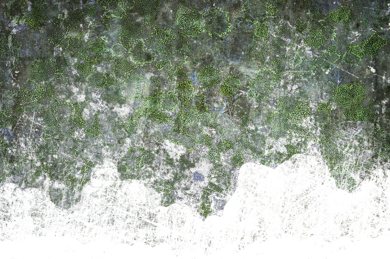 Wall Color - Grass (1536x1020), Png Download