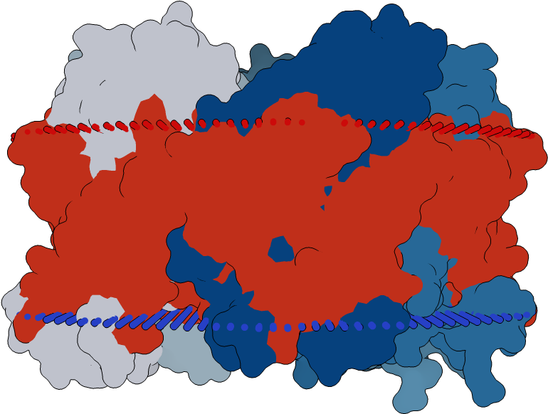 Transmembrane Flat Surface Display Opm - Cumulus (1000x1000), Png Download