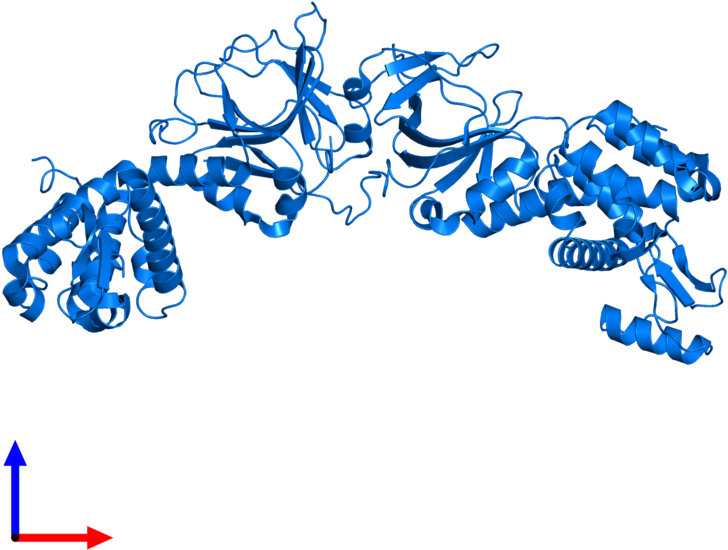 <div Class='caption-body'>pdb Entry 4exm Contains 2 - Graphic Design (800x800), Png Download