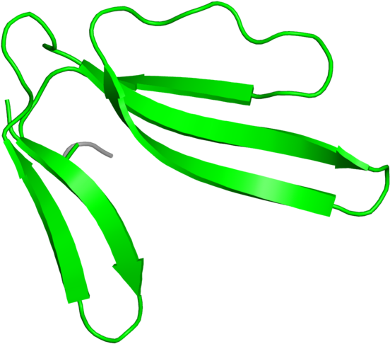Illustration (800x800), Png Download