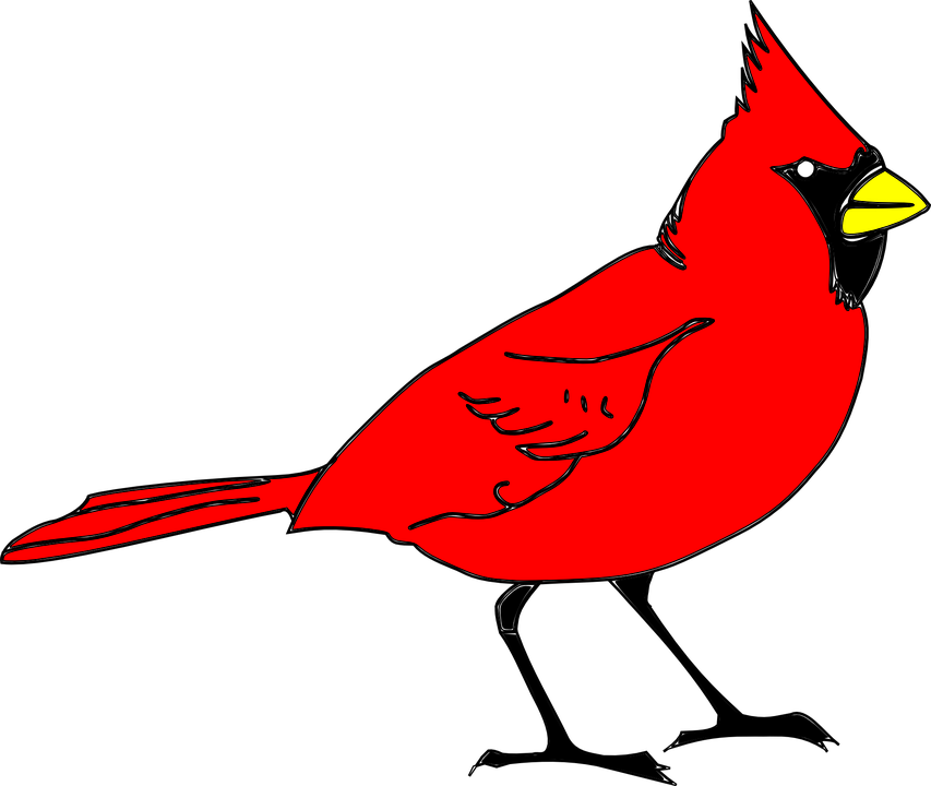 Feathered Friend Cardinals' Choice Is A Premium Blend - Clip Art Cardinal (853x720), Png Download