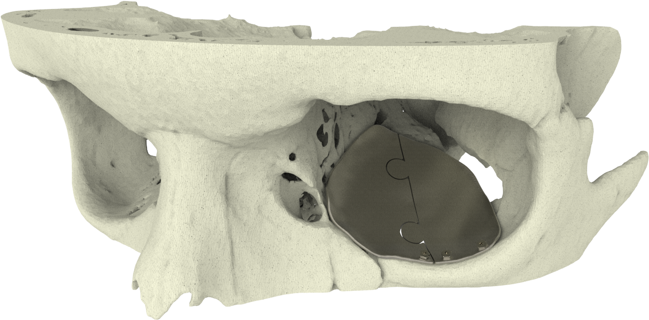 Firefox Icon - Xilloc (1600x1172), Png Download