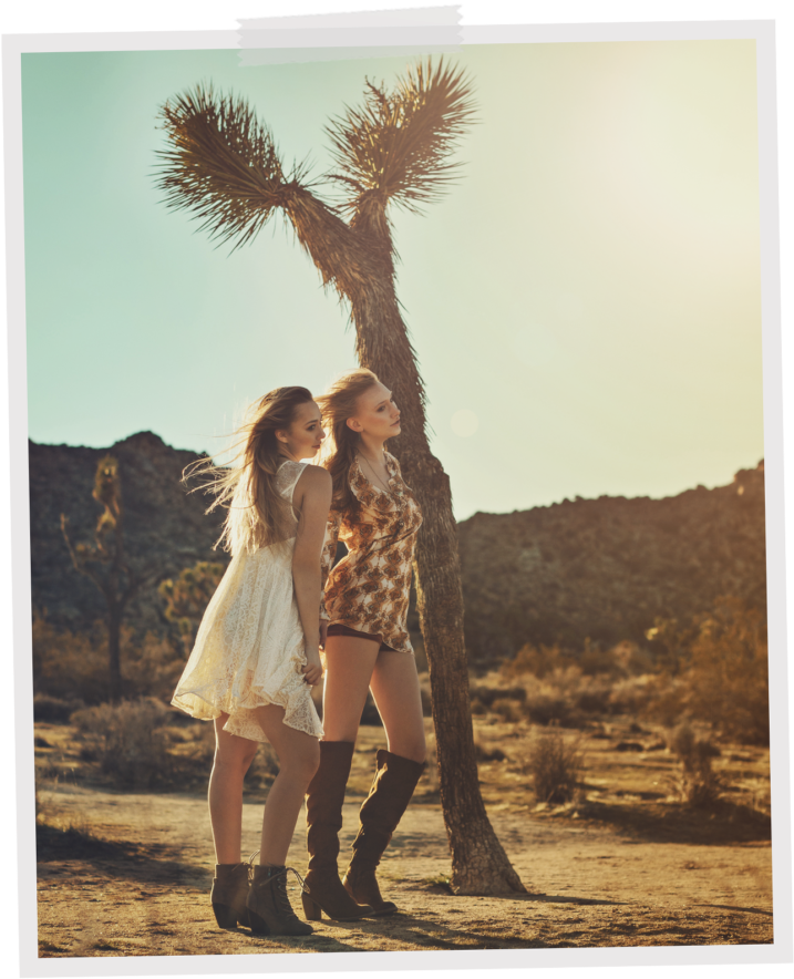 Joshua Tree Both (804x1024), Png Download