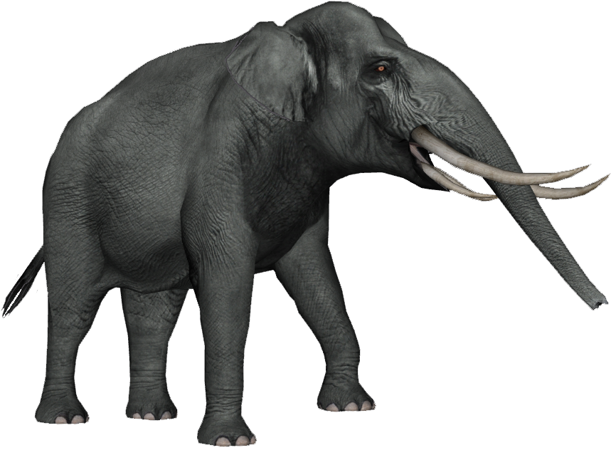 Sulawesi Dwarf Elephant 1 - Elephas Hysudrindicus (858x858), Png Download