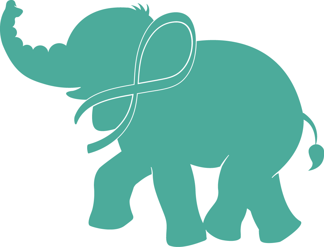 It's Time To Talk About The Elephant In The Room - Elephants (1052x805), Png Download