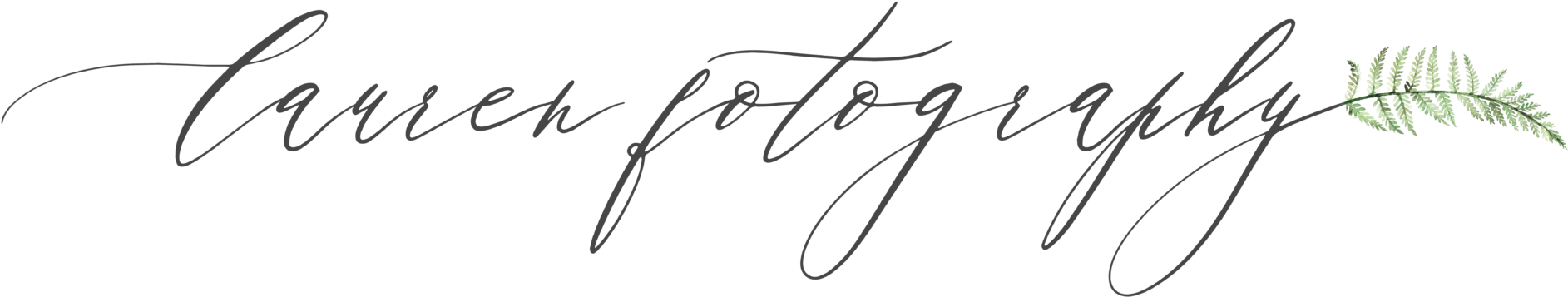 Otography Lauren F - Lauren F.otography (2048x479), Png Download