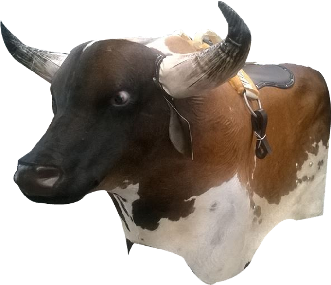 Thumb Image - Toro Mecanico De Piel (800x600), Png Download