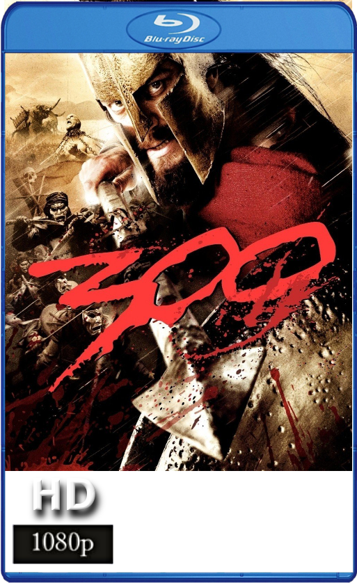 55af2564dc98f Folder (513x838), Png Download