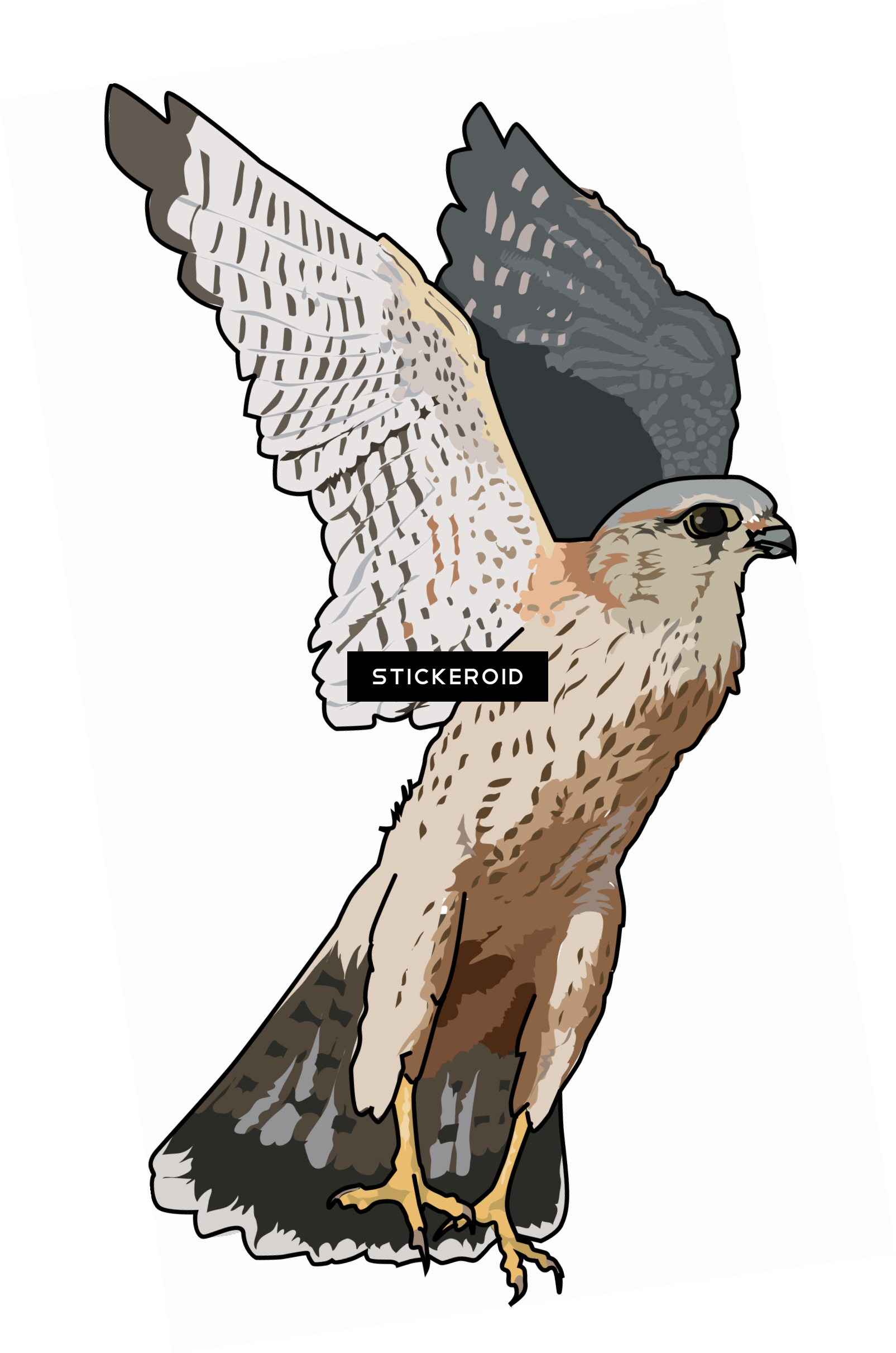 Falcon - Falcon Clipart Png (1605x2422), Png Download