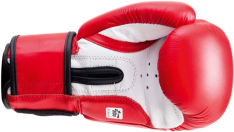 Sting Aiba Approved Competition Leather Boxing Gloves - Sting Aiba Approved Competition Leather Fight Gloves (600x600), Png Download