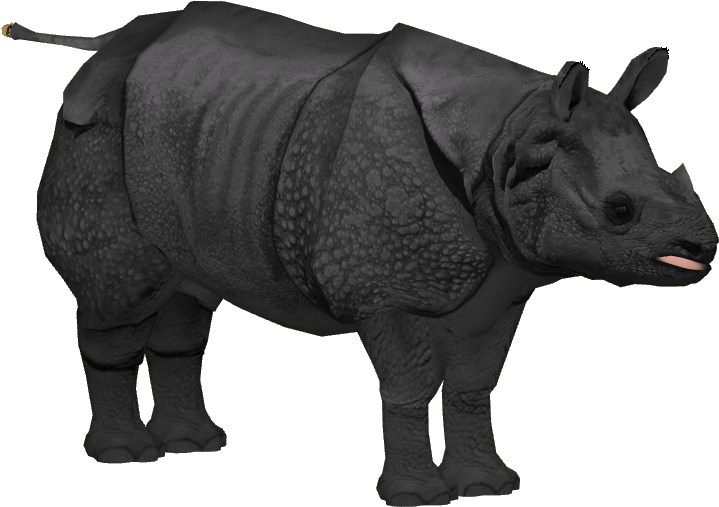Javan Rhinoceros Adult M2 - Javan Rhino No Background (718x718), Png Download