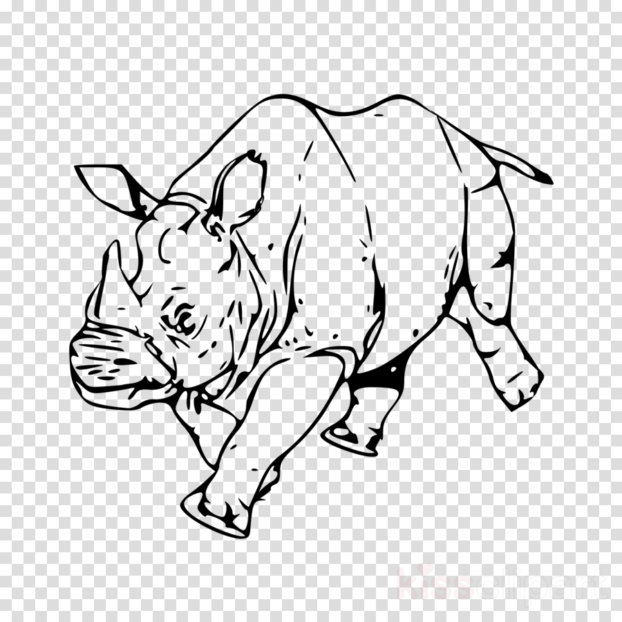 Rhinoceros Clipart Rhinoceros Canidae Clip Art - Badak Vektor (900x900), Png Download
