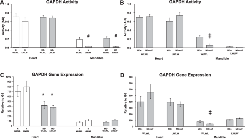 Enzyme Activity Of Glyceraldehyde 3 Phosphate Dehydrogenase - Diagram (850x485), Png Download